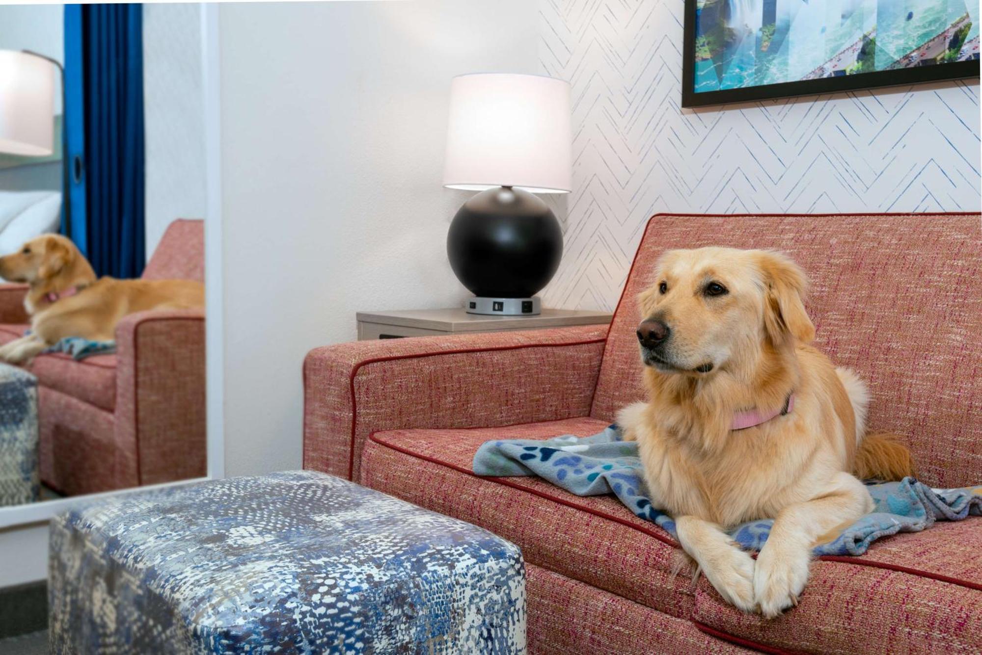 Home2 Suites By Hilton Buffalo Airport/ Galleria Mall Cheektowaga Εξωτερικό φωτογραφία